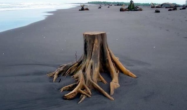 Deforestation in Guatemala