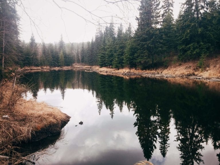 Mactaggart Sanctuary, Edmonton, Canada