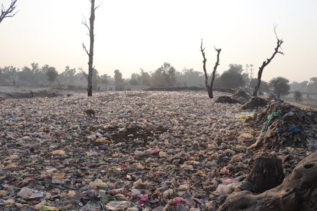 Huge garbage dump with dead trees and houses in background