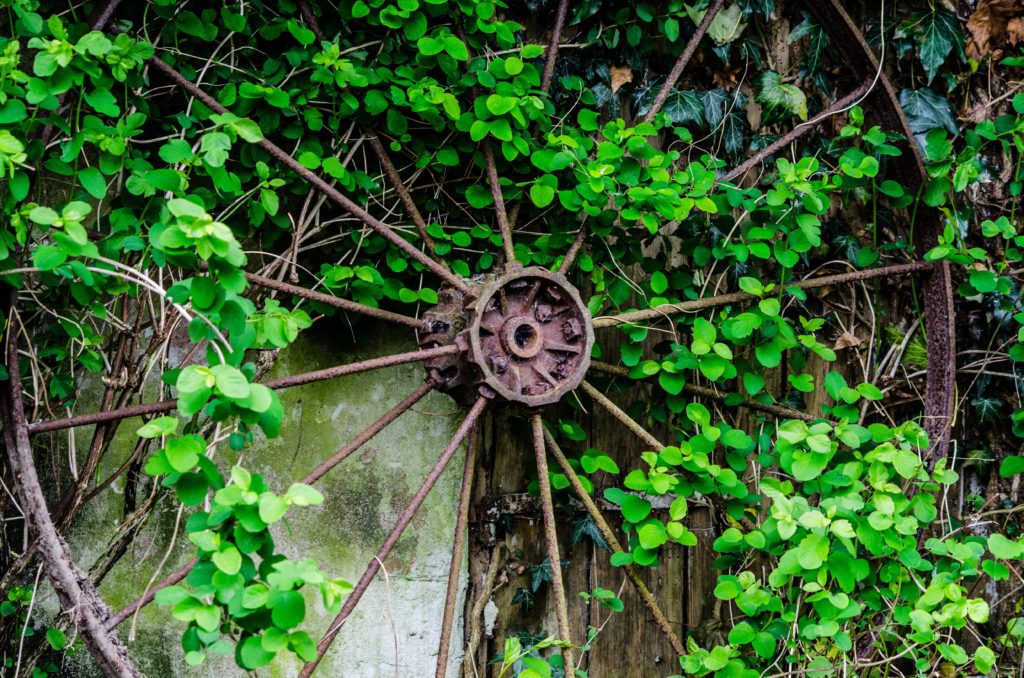 Vintage Wheel