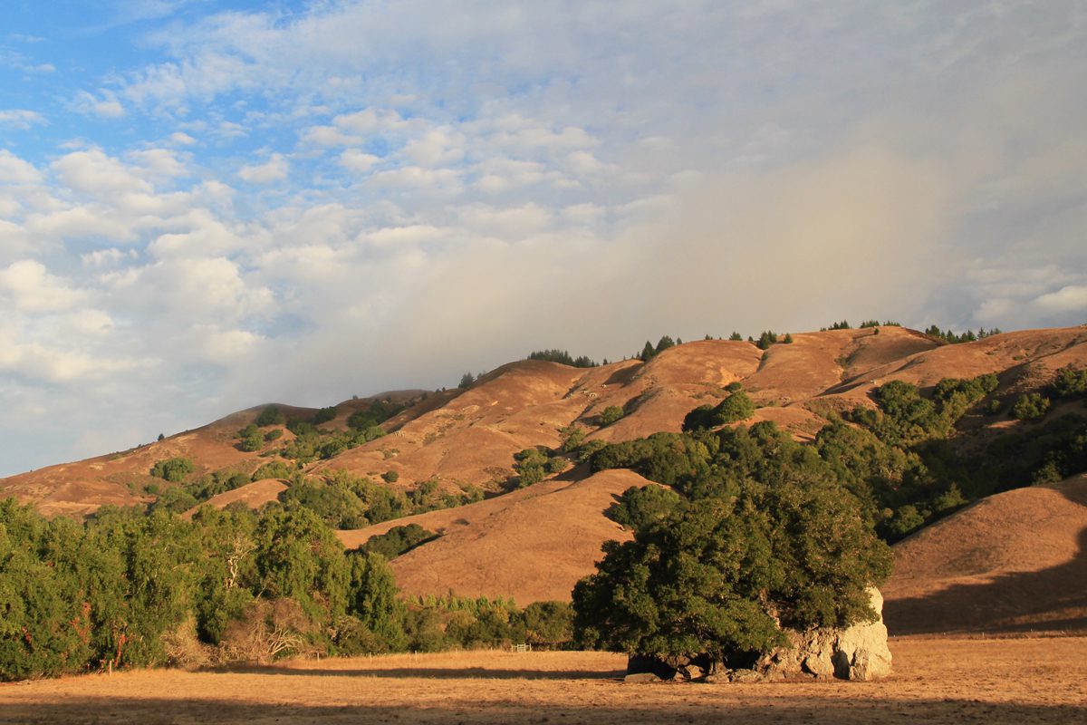 "The Rock" at Spirit Rock Meditation Center